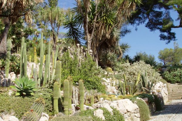 Giardini Hambury Ventimiglia | Appartamenti Casa Alice - Affitto Appartamenti Vacanze - Affitto Casa Vacanze